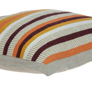 Transitional Multicolor Pillow