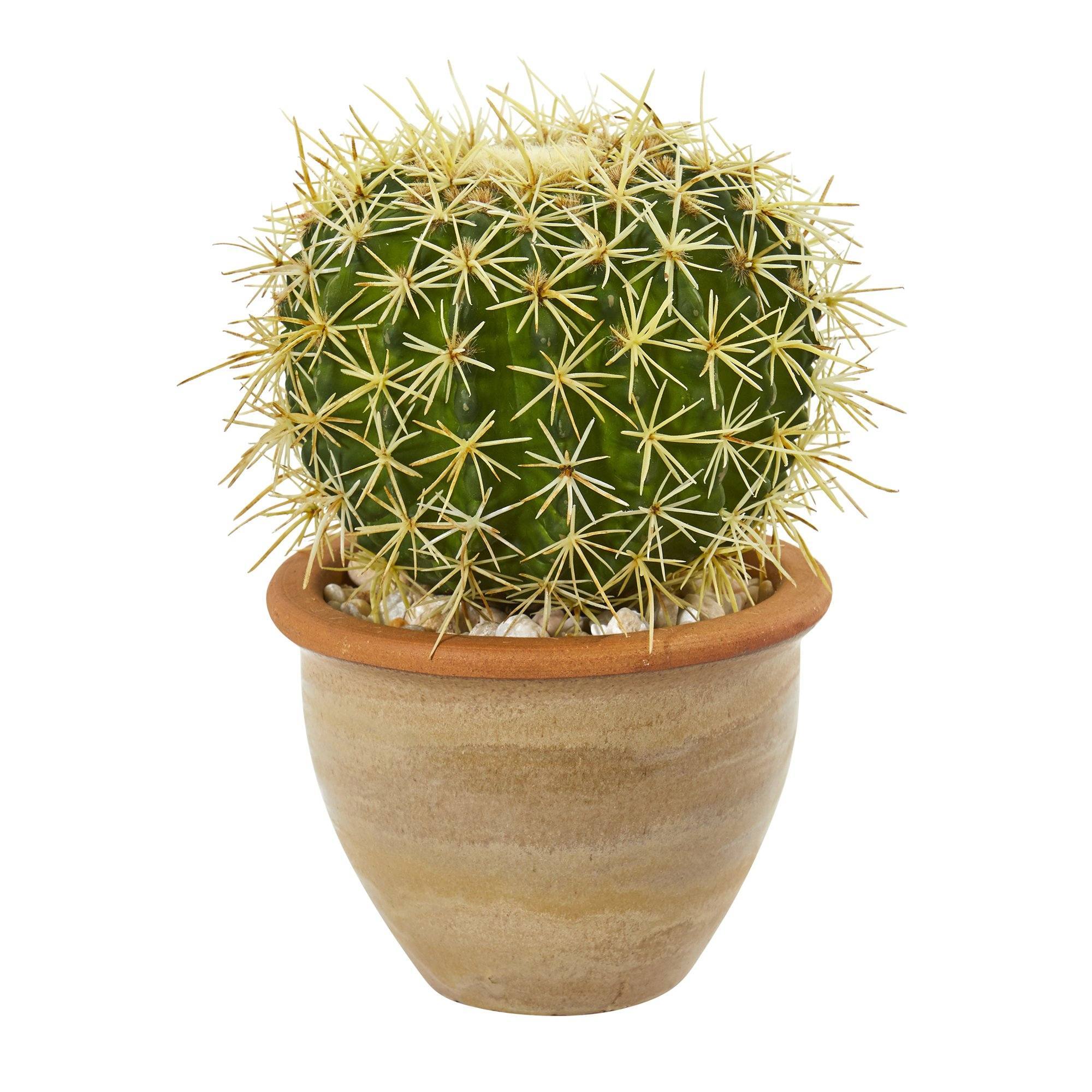 Artificial Arrangement - 10” Cactus in Decorative Ceramic Planter by Nearly Natural