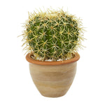 Load image into Gallery viewer, Artificial Arrangement - 10” Cactus in Decorative Ceramic Planter by Nearly Natural
