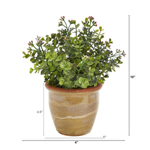 Artificial Arrangement - 10” Eucalyptus & Sedum Succulent in Ceramic Planter by Nearly Natural