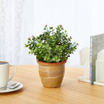 Load image into Gallery viewer, Artificial Arrangement - 10” Eucalyptus &amp; Sedum Succulent in Ceramic Planter by Nearly Natural
