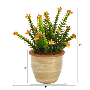 Artificial Arrangement - 10” Flowering Sedum Succulent in Ceramic Planter by Nearly Natural