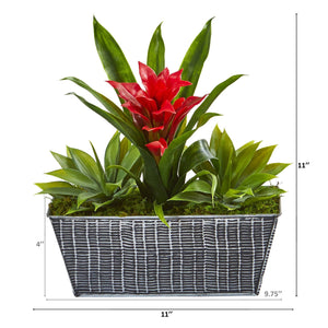 Artificial Arrangement - 11” Bromeliad & Agave Plant in Black Tin Planter by Nearly Natural