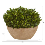 Load image into Gallery viewer, 12” Boxwood Preserved Plant in Oval Planter by Nearly Natural
