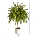 Load image into Gallery viewer, Artificial Tree - 2&#39; Northern Californian Cedar Canopy in Decorative Planter by Nearly Natural
