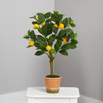 Load image into Gallery viewer, Artificial Tree - 24” Lemon Artificial Tree by Nearly Natural
