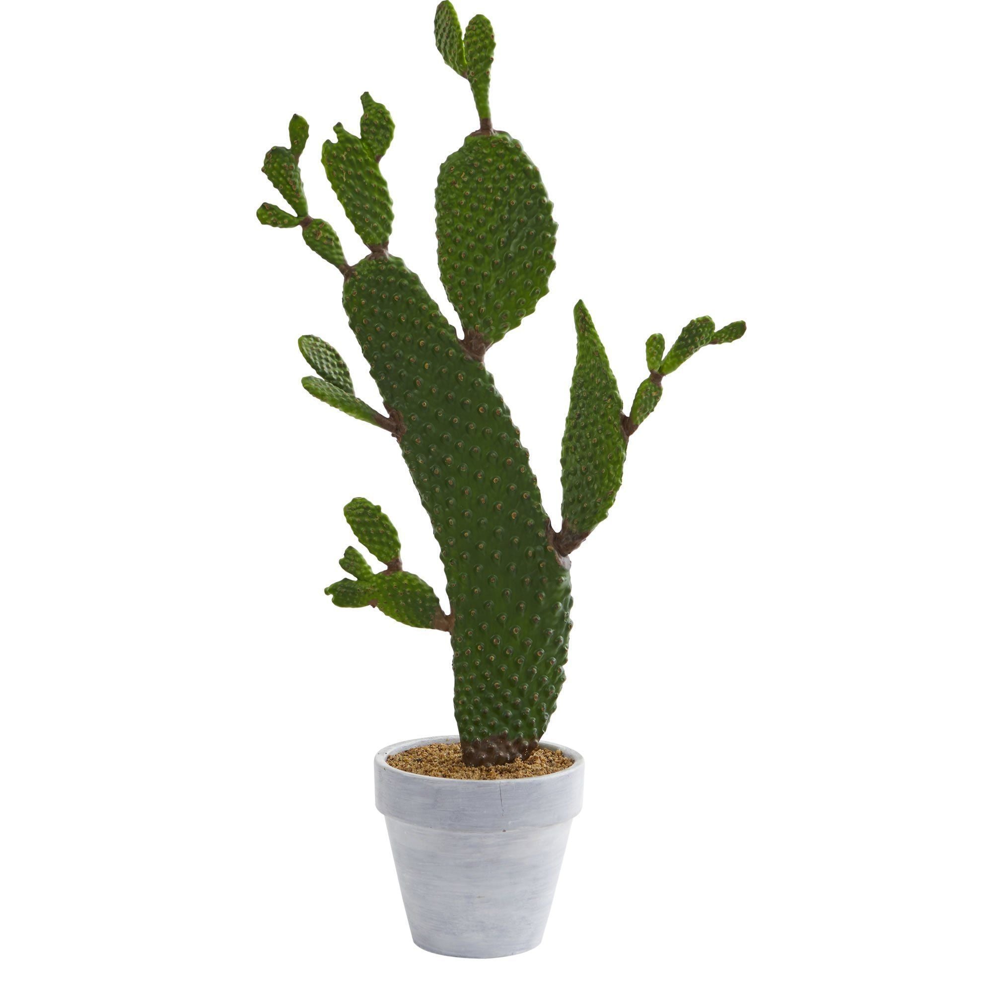 Artificial Arrangement - 27” Cactus Plant by Nearly Natural