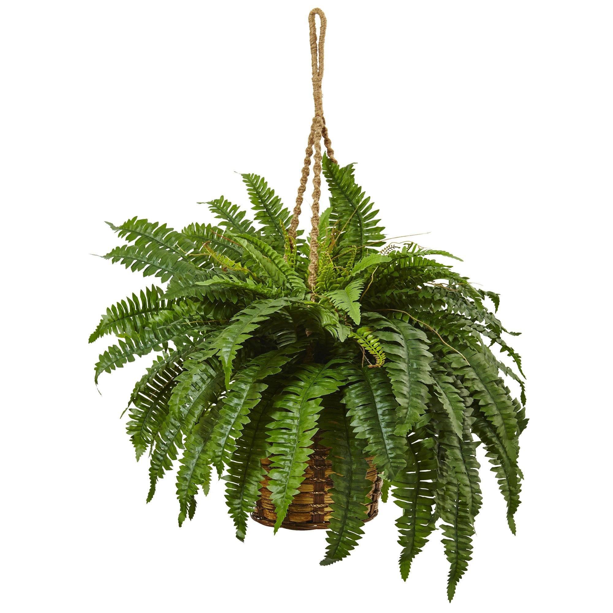Artificial Arrangement - 29" Boston Fern Hanging Basket" by Nearly Natural