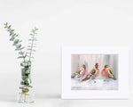 Load image into Gallery viewer, Winter Song Bird - “Eyeing The Feeder 2” Print
