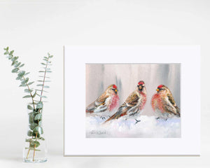 Winter Song Bird - “Eyeing The Feeder 2” Print